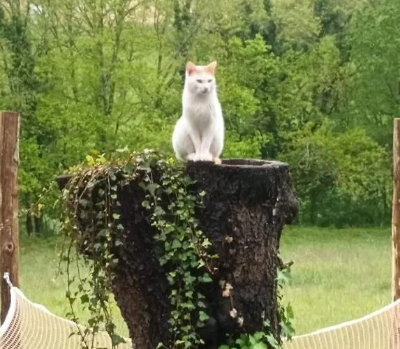 Landhuis La Meyrolette *